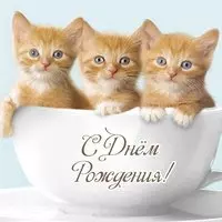 Открытка с днем рождения с котятами