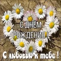 Открытка с днем рождения с красивыми цветами ромашками