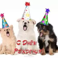 Открытка с днем рождения с щенками