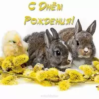 Открытка с днем рождения с зайкой