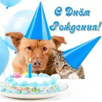 Открытка с днем рождения с животными