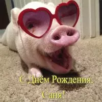 Открытка с днем рождения Саше фото