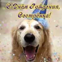 Открытка с днем рождения сестре прикольная смешная