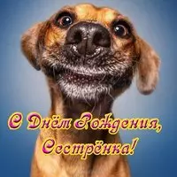 Открытка с днем рождения сестре прикольная