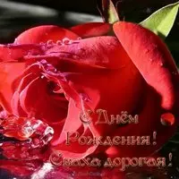 Открытка с днем рождения свахе от свахи