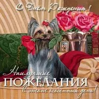 Открытка с днем рождения йорк