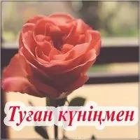 Открытка с днем рождения женщине на казахском