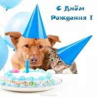 Открытка с днём рождения без цветов
