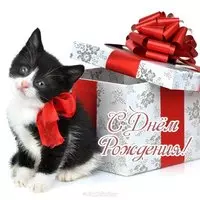 Открытка с днём рождения с котёнком