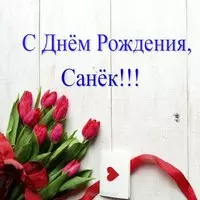 Открытка с днём рождения Санёк