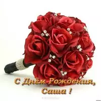 Открытка с днём рождения Саша девушка