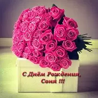 Открытка с днём рождения Соня
