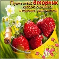 Открытка с добрым днем вторника