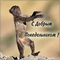 Открытка с добрым понедельником прикольная