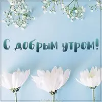 Открытка с добрым утром со цветами