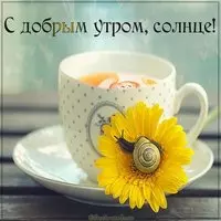 Открытка с добрым утром солнце