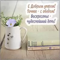 Открытка с добрым утром воскресенья прикольная