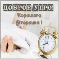 Открытка с добрым утром вторника удачного дня