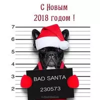 Открытка с новым годом годом собаки