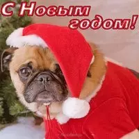 Открытка с новым годом собаки 2018 бесплатно
