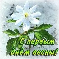 Открытка с первым днем весны