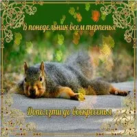 Открытка с понедельником прикольное поздравление