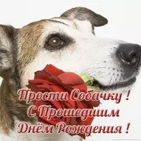 Открытка с прошедшим днем рождения мужчине