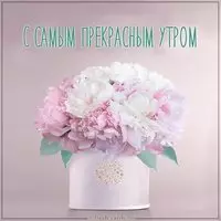 Открытка с самым прекрасным утром