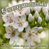 Открытка с весенним понедельником