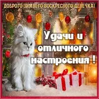 Открытка с воскресеньем зимним