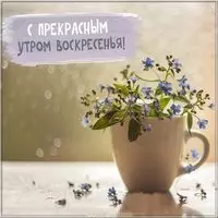 Открытка с воскресным утром бесплатно