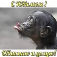 Открытка с юбилеем 30 лет девушке прикольная
