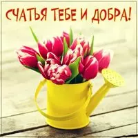 Открытка счастья тебе и добра