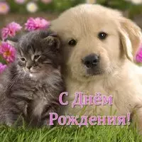 Открытка щенок с днем рождения