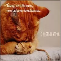 Открытка сегодня понедельник