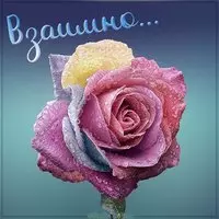 Открытка со словом взаимно