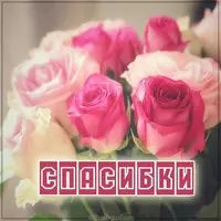 Открытка спасибки картинка