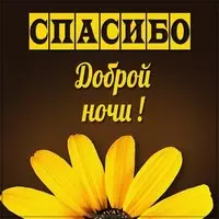 Открытка спасибо доброй ночи