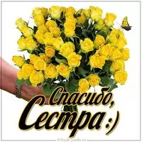 Открытка спасибо сестра