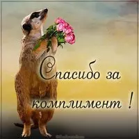 Открытка спасибо за комплимент