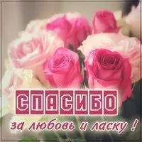 Открытка спасибо за любовь за ласку