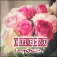 Открытка спасибо за мудрость