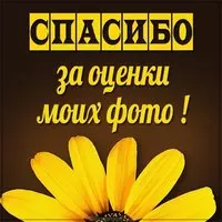 Открытка спасибо за оценки моих фото