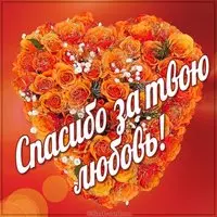 Открытка спасибо за твою любовь