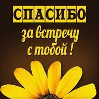 Открытка спасибо за встречу с тобой
