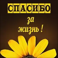 Открытка спасибо за жизнь