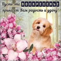 Открытка удачного воскресного дня