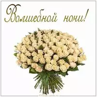 Открытка волшебной ночи