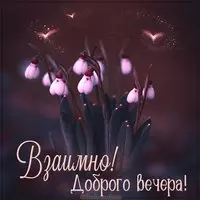 Открытка взаимно доброго вечера
