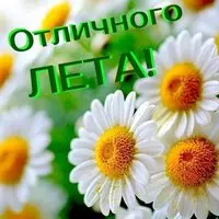 Открытка с ромашками — отличного лета